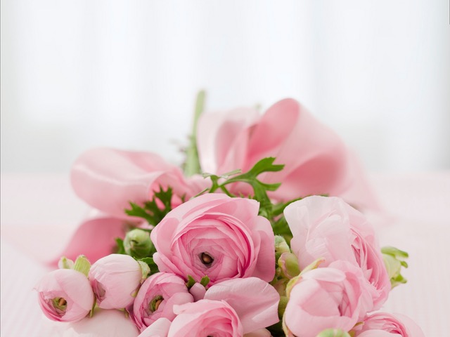 Pink Roses