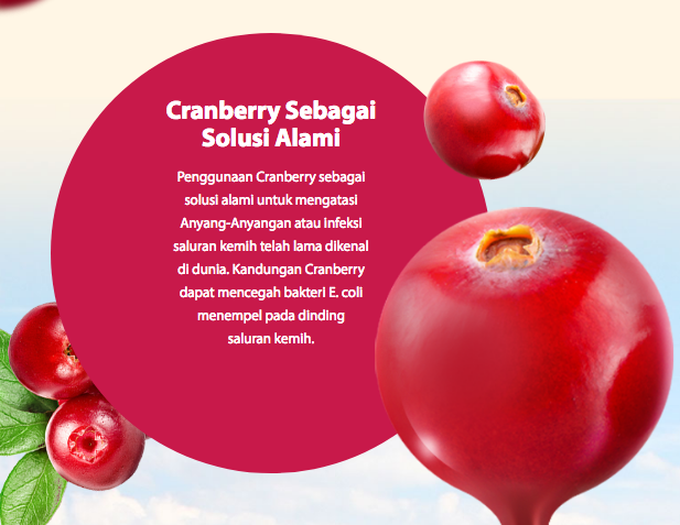 Manfaat Buah Cranberry